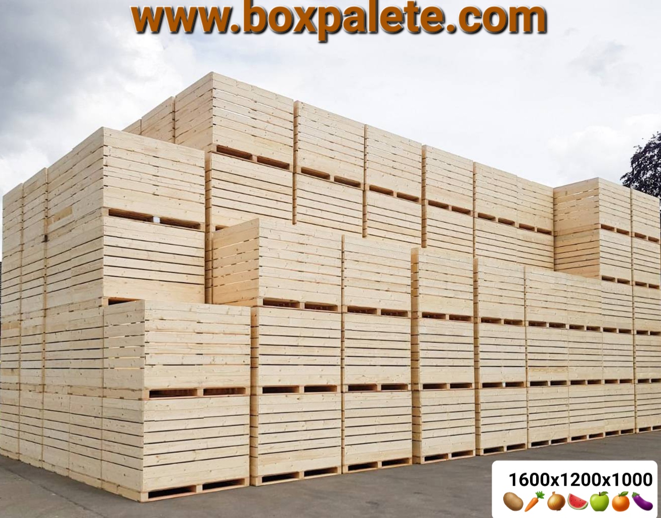 Box-palete-5
